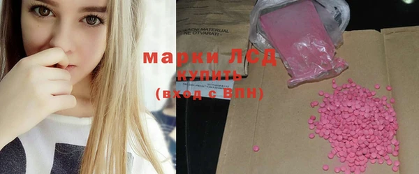 индика Алагир