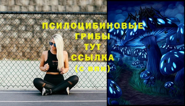 гашишное масло Гусь-Хрустальный