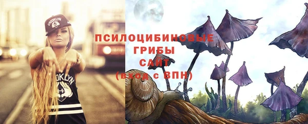 2c-b Гусиноозёрск
