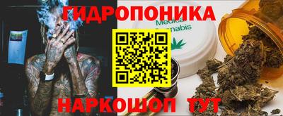 спайс Гагарин