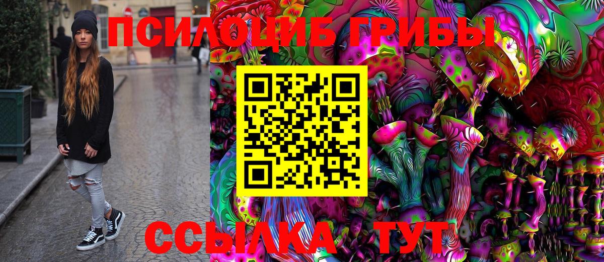 Псилоцибиновые грибы прущие грибы Донской