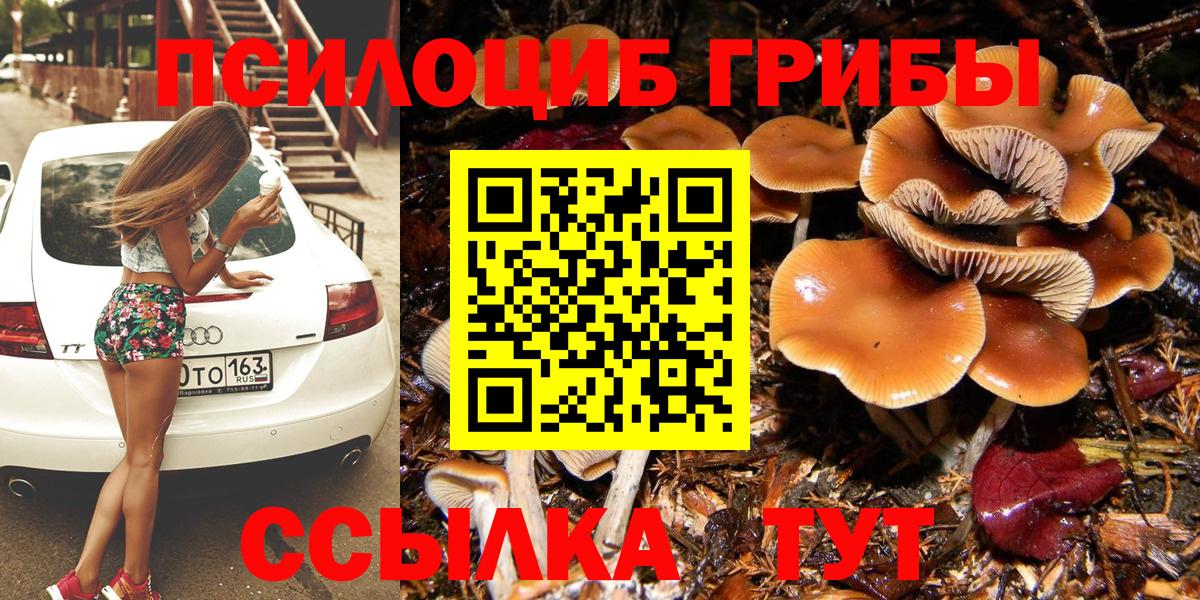 Псилоцибиновые грибы Psilocybe  Вход с VPN  Псилоцибиновые грибы Magic Shrooms  Донской 