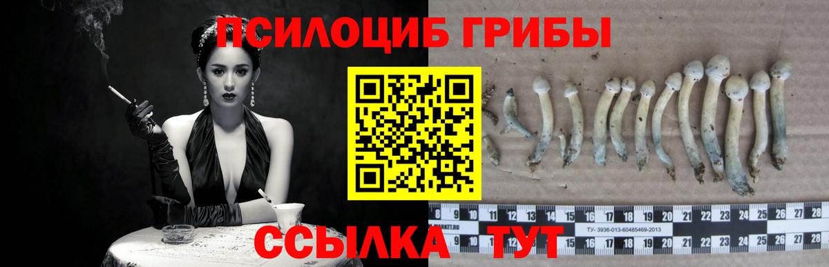 Галлюциногенные грибы мухоморы Донской