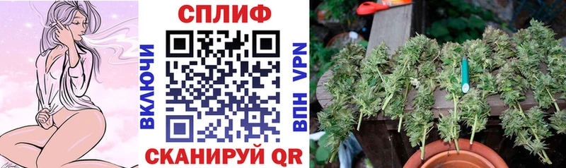 Шишки марихуана THC 21%  купить  цена  Донской 